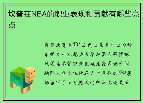 坎普在NBA的职业表现和贡献有哪些亮点