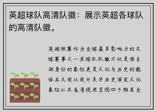 英超球队高清队徽：展示英超各球队的高清队徽。